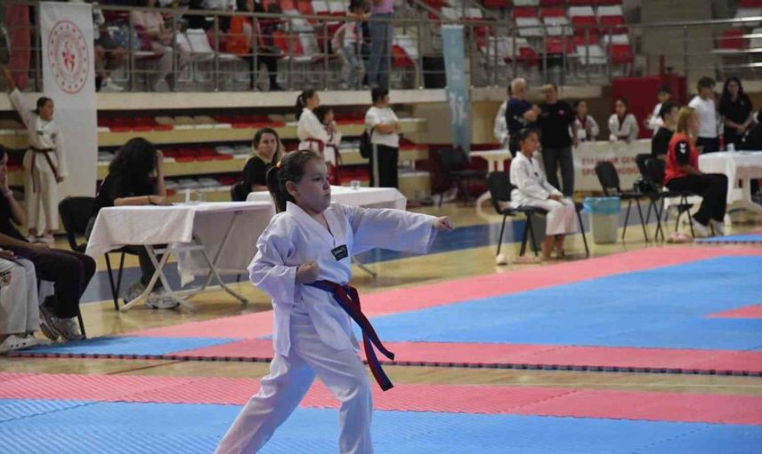 Eskişehir'de taekwondo tutkunları buluştu: İkinci poomsae turnuvası başladı
