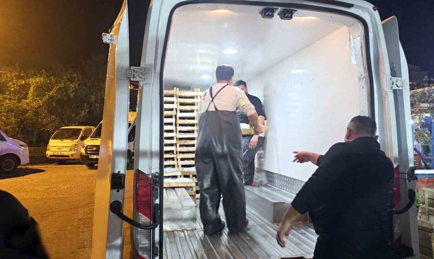 Karadeniz'de palamut avında rekor: Balıkçılar 15 bin palamutla döndü