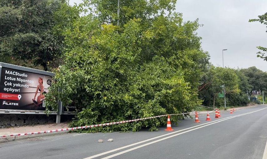 İstanbul'da etkili yağış sonrası ciddi hasar: Ağaçlar devrildi, rögarlar taştı