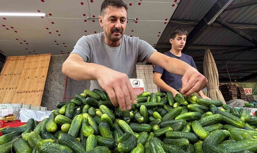 Bolu'da üç kuşaktır süren pazarcılık geleneği babadan oğula geçiyor