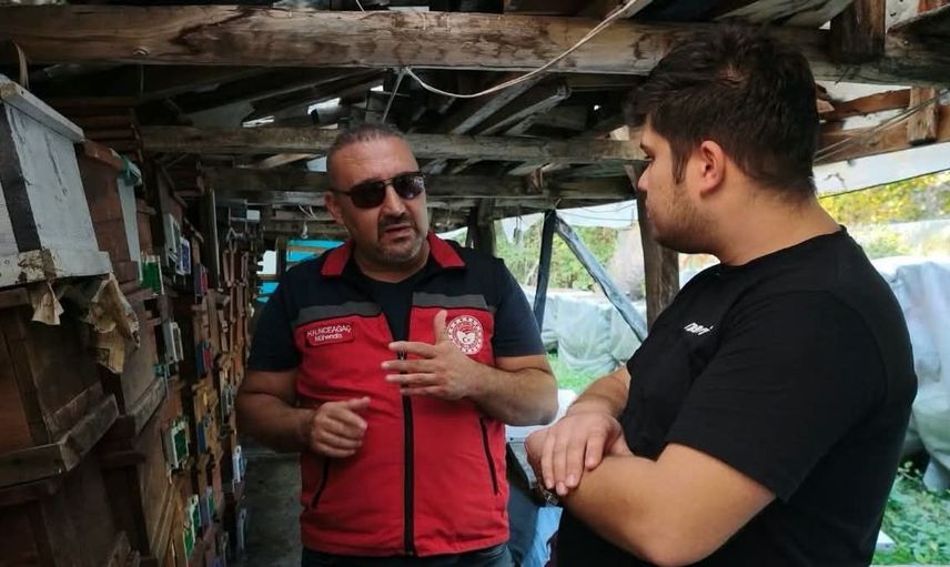Bartın'da arı üreticileri için son başvuru tarihi yaklaşırken: desteklemeler için son günler