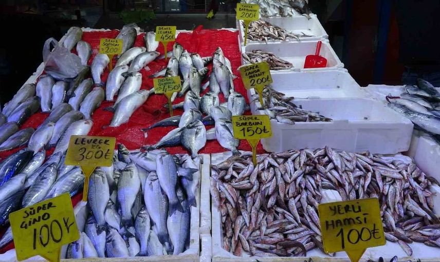 Samsun'da palamut fiyatlarındaki düşüş, vatandaşları tezgahlara yönlendirdi