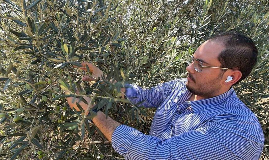 Zeytinyağı sektöründe ABD gümrük vergisi değişikliği: Pazar kaybı endişesi