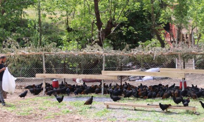 4 İşsiz Kardeş Devlet Desteği Sayesinde Çiftlik Kurdu