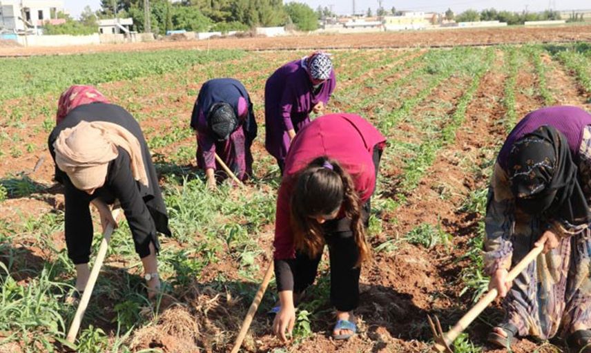 40 Derece Sıcaklıkta Çalışıyorlar