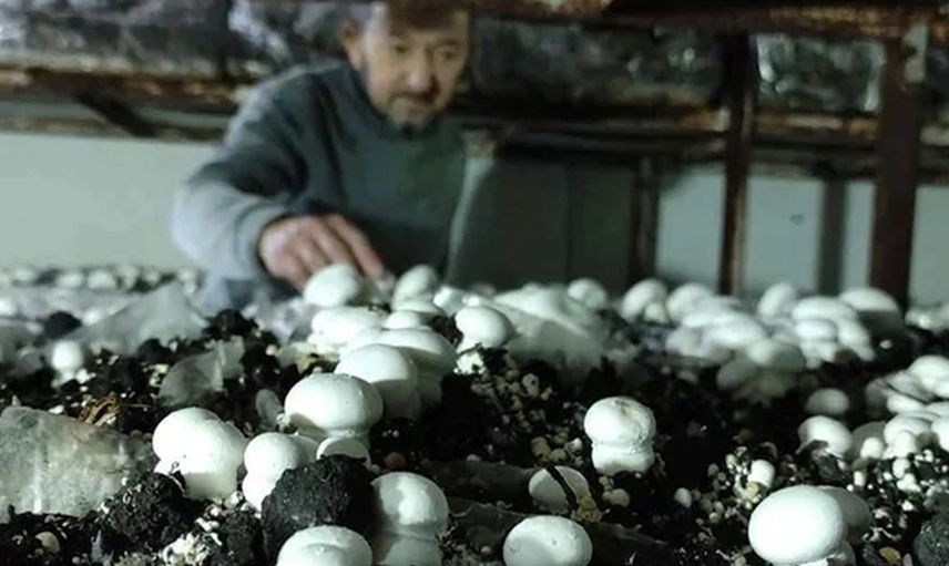 400 metrekarelik alanda 3 milyon kazanç elde ediyor