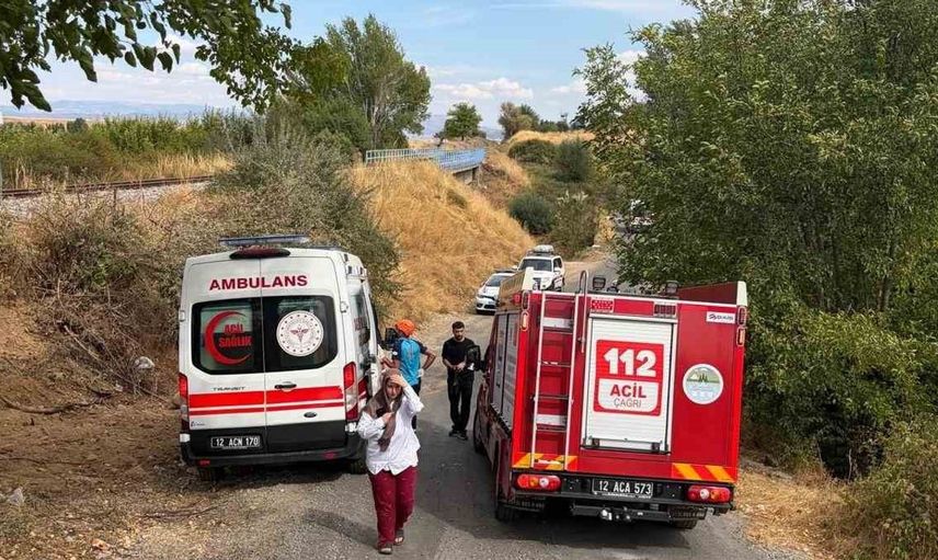 Bingöl'de minibüsün ağaca çarpması sonucu yaralılar var