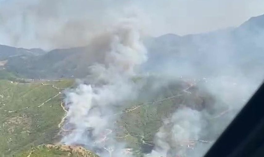 Alanya sapadere kanyonunda ormanlık alanda yangın