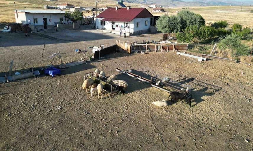 Niğde'de hayvancılıkla geçinen aileler elektrik talep ediyor