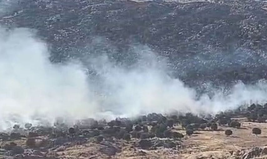 Adıyaman'da ormanlık alanda yangın