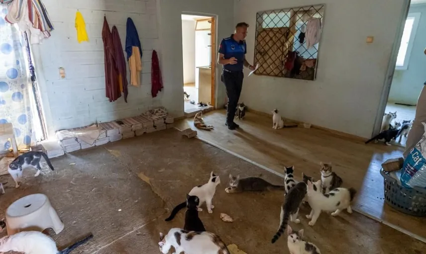 Mersin'de çöp ev ihbarı kedilere çıkınca sonuçlar farklı oldu