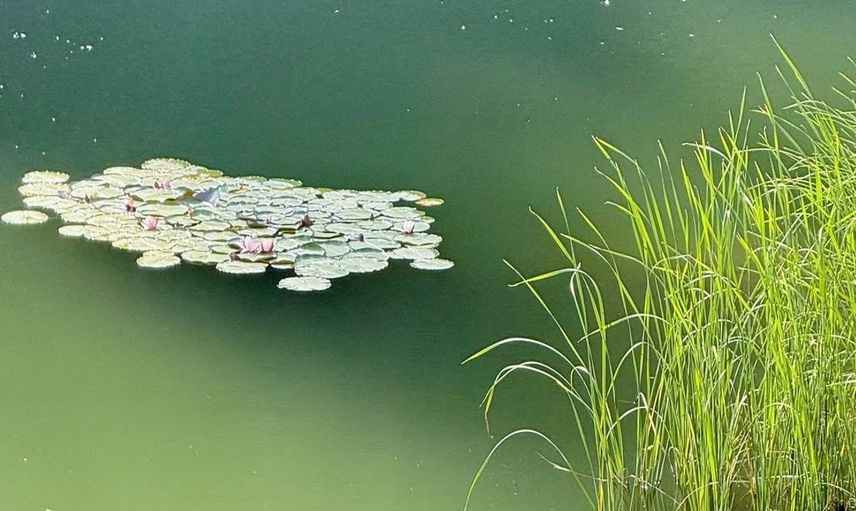 Sonbaharda huzurun adresi: Sinop Akgöl'de doğayla iç içe anlar