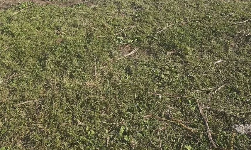 Kars'ta arıcılığı güçlendiren destekler sürüyor: Kovan başına 250 TL yardım