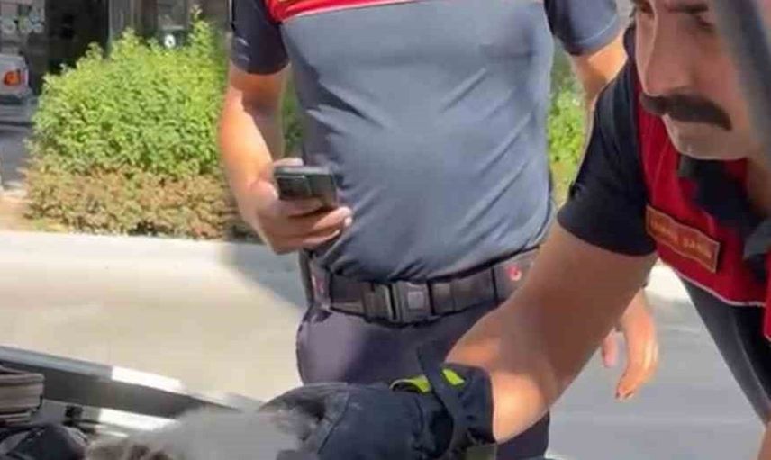 Duyarlılık hayata döndürdü: Burdur'da yavru kedi itfaiye tarafından kurtarıldı