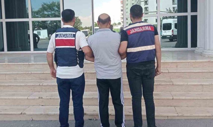 Şanlıurfa'da jandarmadan göçmen kaçakçılığına yönelik büyük operasyon
