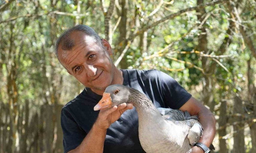 Karantina sürecinde köyüne döndü, kaz çiftliği ile büyük bir başarı yakaladı