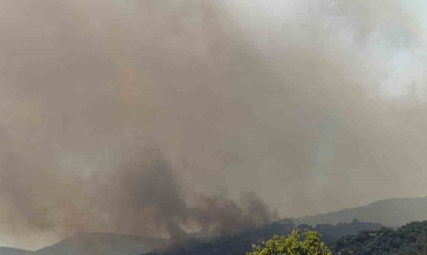 Ayvacık’ta alevler ormana sıçradı, yangın kontrol altına alınmaya çalışılıyor