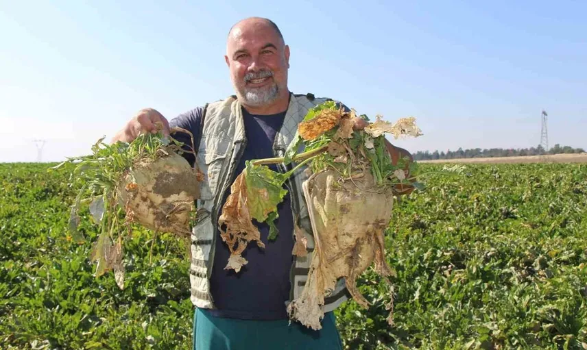 Amasya’da şeker pancarı hasadı başladı: Rekolte 350 bin ton öngörülüyor
