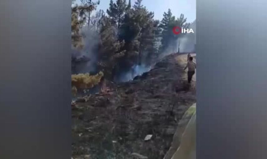 Mersin'deki orman yangını havadan ve karadan müdahale ile kontrol altına alındı