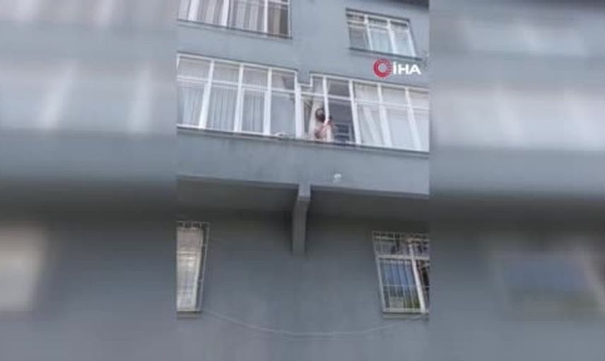 Sultangazi'de sokaktaki kediler için tartışma: Barınağa götürülmeleri istendi