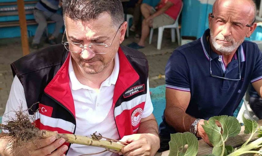 Tekirdağ’da dolunun vurduğu köylerde hasar tespit çalışmaları sürüyor