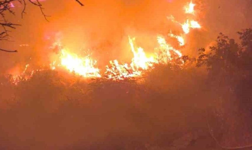 Diyarbakır’ın Lice ilçesinde çıkan örtü yangını kontrol altına alındı