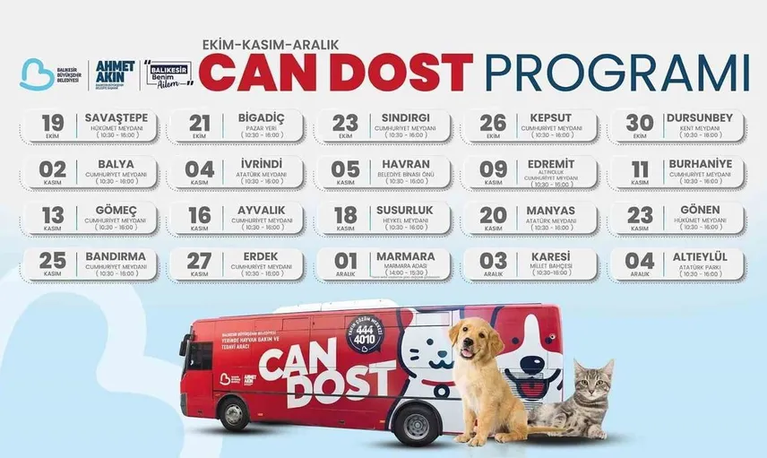 Can dost mobil tedavi aracı, sokak kedileri için yeni programını duyurdu