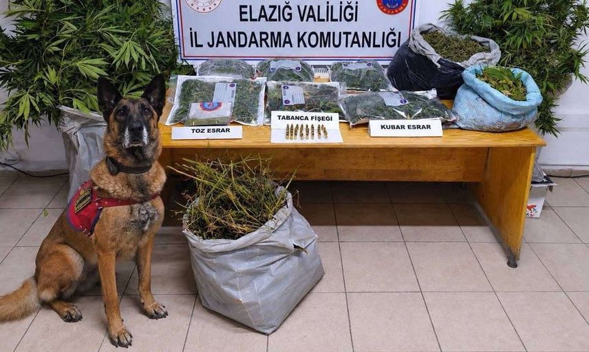 Elazığ'da uyuşturucu operasyonu: jandarma üç kişiyi tutukladı