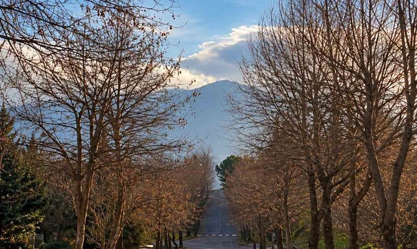 Dört mevsimi tek karede yaşatan fotoğraf projesi