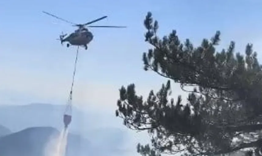Fethiye'de çıkan orman yangını başarıyla kontrol altına alındı