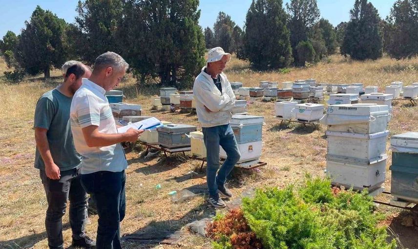 Beyşehir’de arıcılık sektörü için kovan sayımı ve destek çalışmaları gerçekleştirildi