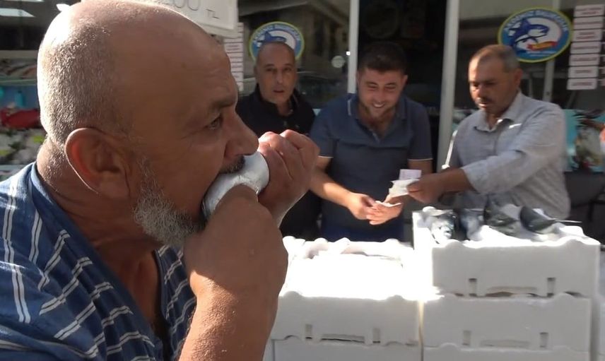 Kilis'te palamut fiyatları 100 liraya düştü: Balıkçı palamudu çiğ yedi