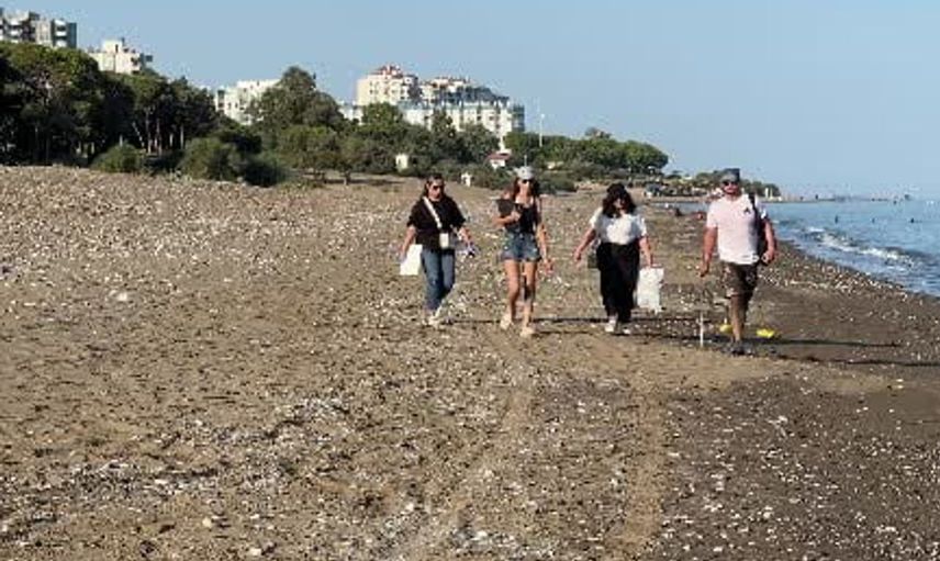Mersin'de sezonun ilk deniz kaplumbağası yavruları akdeniz'e ulaştı