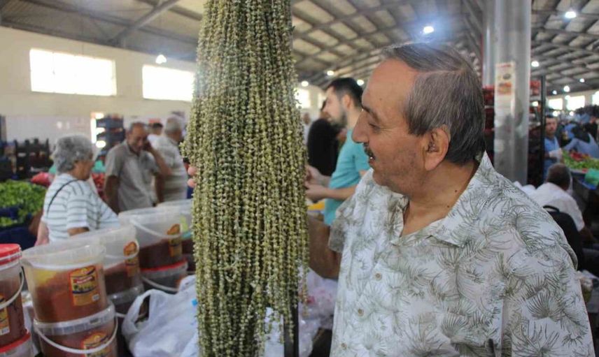 Amasya'nın çiçek bamyası kurutuluyor: Taze bamyadan gramla satılan lezzetler