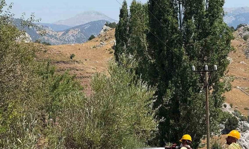 Alanya’da otluk alanda çıkan yangın kontrol altına alındı