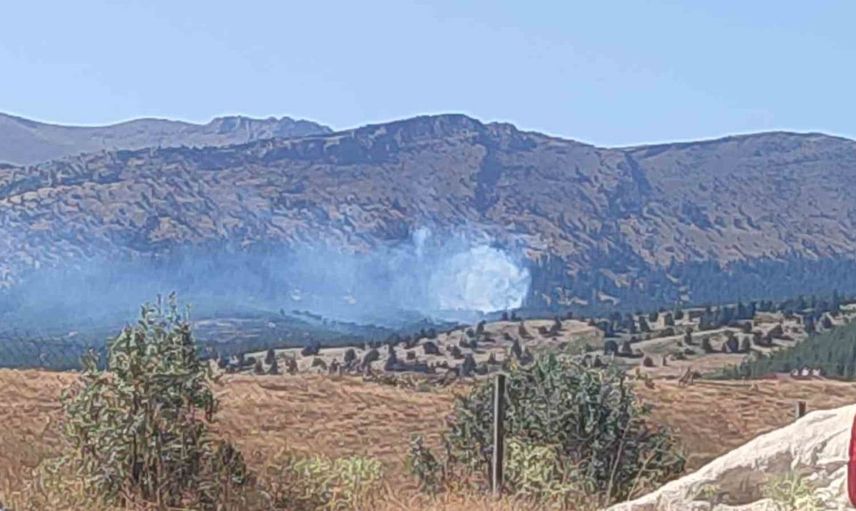 Kahramanmaraş'ta orman yangını kontrol altına alındı
