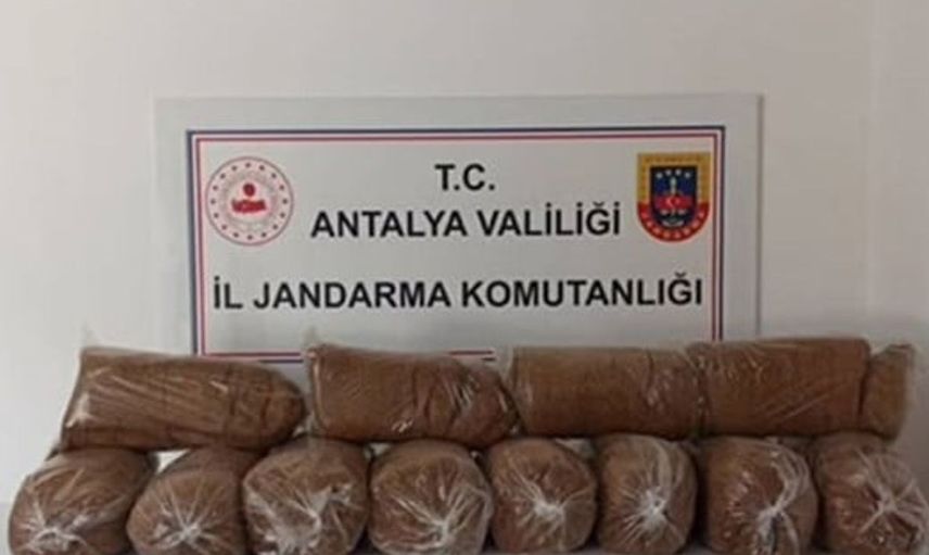 Antalya'da kaçak tütün operasyonunda büyük miktar ele geçirildi