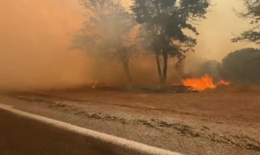 Balıkesir’deki orman yangını Bergama sınırına ulaştı, gazeteciler zor anlar yaşadı
