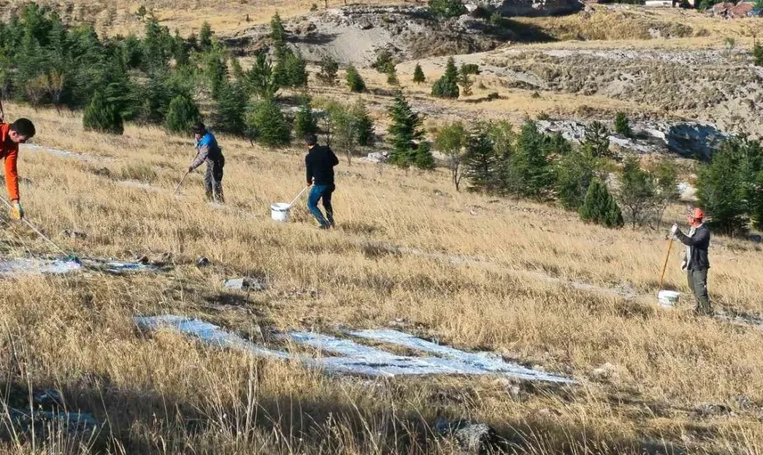 Seyitgazi’de dev ay yıldız yenilendi: Kurtuluşun simgesi bakımla renklendi