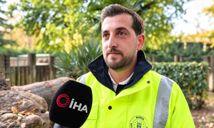 Bursa'ya özgü dev karıncayiyen için özel mama hazırlığı devam ediyor