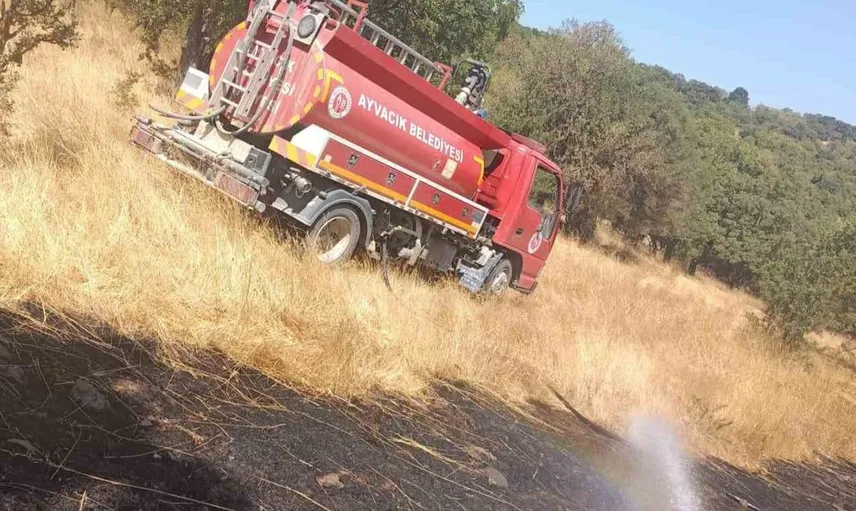 Çanakkale'nin Ayvacık ilçesinde otluk alan yangınına hızlı müdahale