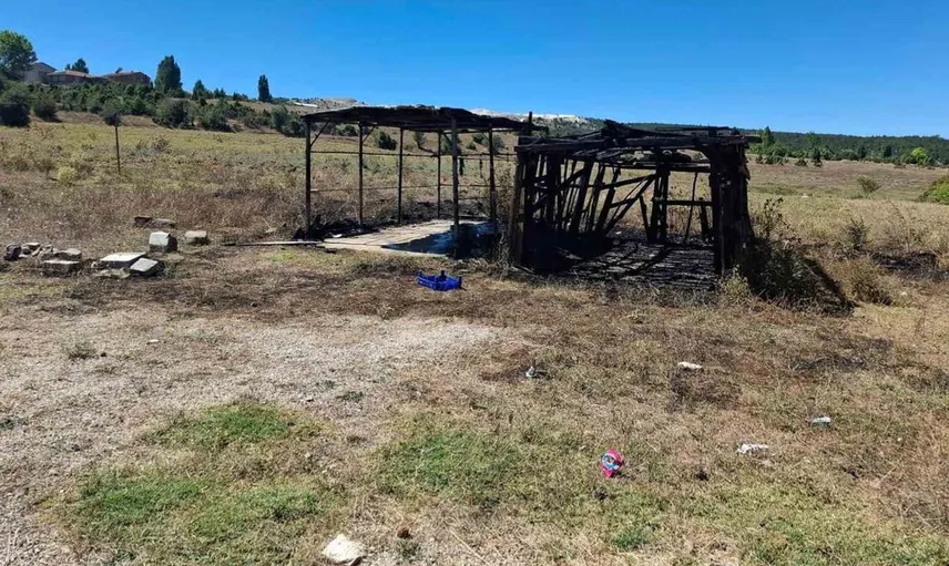 Salça yaparken çıkan yangın, gölgelik ve depoyu kül etti