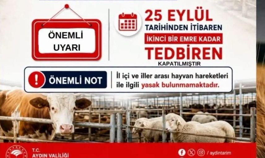 Aydın'da hayvan pazarları kapatıldı: Hayvan sağlığı için tedbirler alınıyor