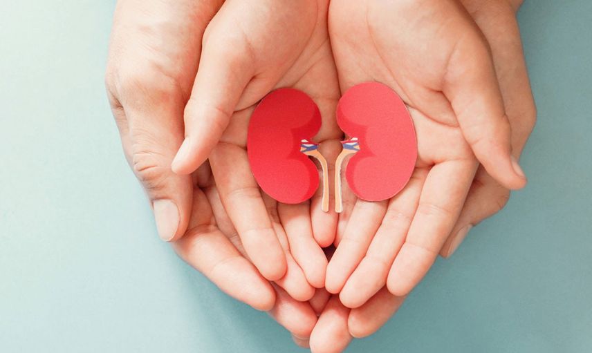 48 hastaya organ nakli yapılarak hayata tutunmaları sağlandı!
