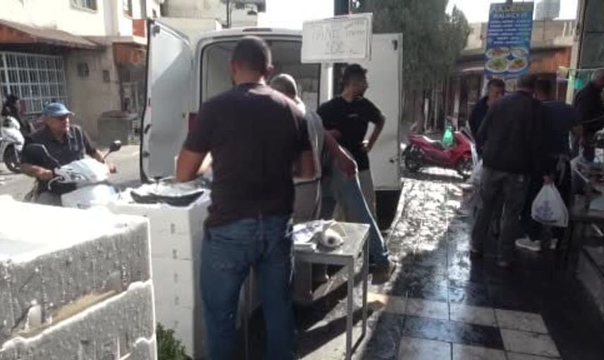 Kilis'te palamut balığı 100 liraya satılıyor, balıkçılar kampanyada yarışıyor