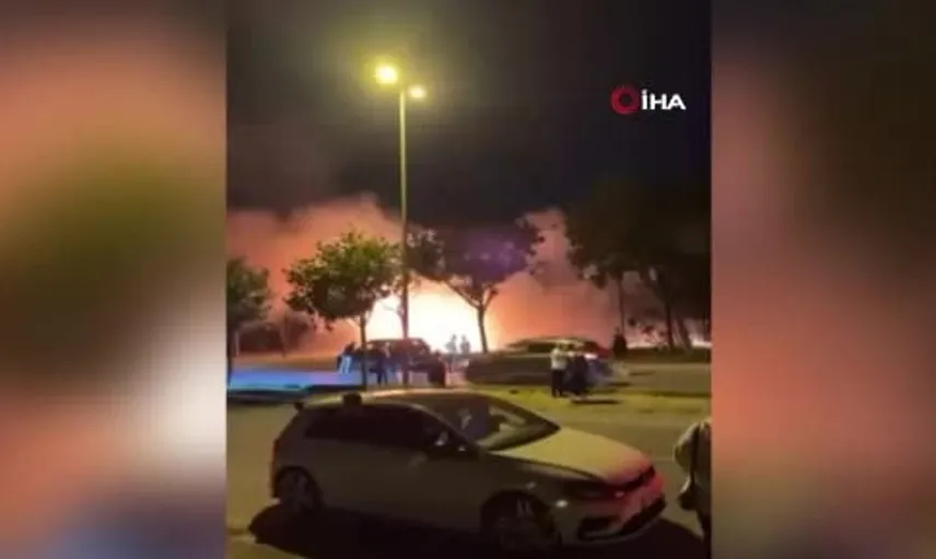 Avcılar'da ağaçlık alanda yangın paniği: itfaiye zamanında müdahale etti