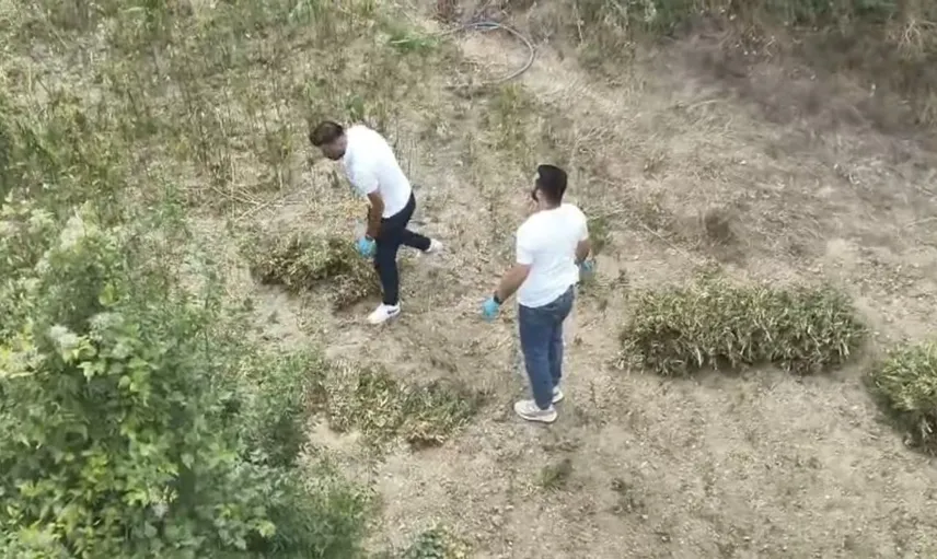 Samsun Bafra'da uyuşturucu baskını: 138 kilogram kubar esrar ele geçirildi