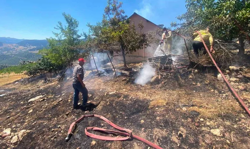 Alanya'da zirai alanda yangın: 4 dönüm alan yok oldu