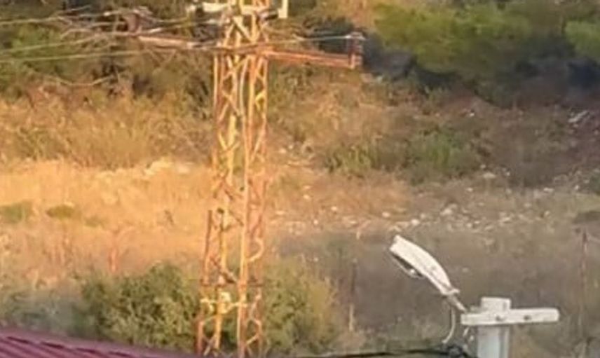 Mersin'de leylek trajedisi: Üç leylek elektrik akımına kapıldı
