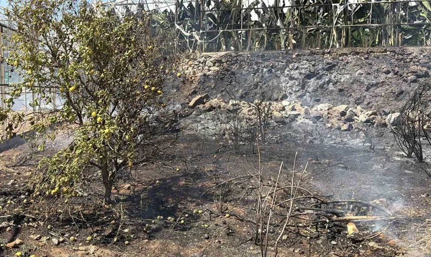 Gazipaşa'da yangın paniği, helikopter pilotunun dikkati sayesinde önlendi
